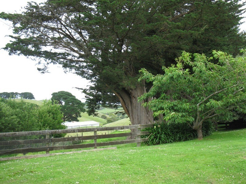 200 Busty Road, Apollo Bay VIC 3233