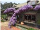 75 Alice Court, Marengo VIC 3233