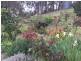 75 Alice Court, Marengo VIC 3233