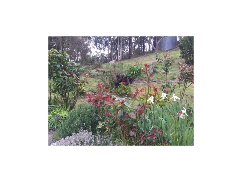 75 Alice Court, Marengo VIC 3233