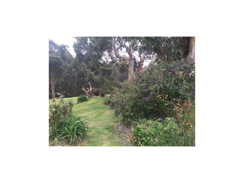 75 Alice Court, Marengo VIC 3233