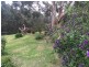 75 Alice Court, Marengo VIC 3233