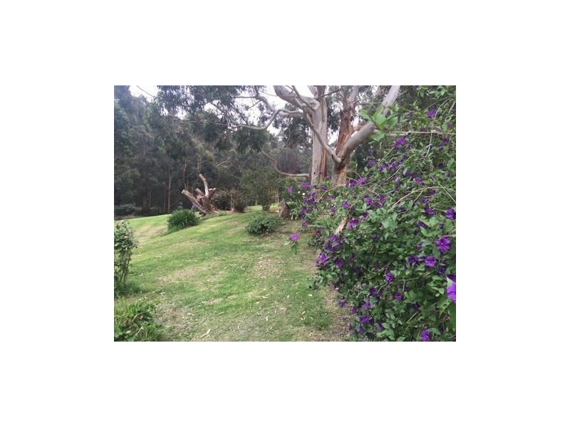 75 Alice Court, Marengo VIC 3233