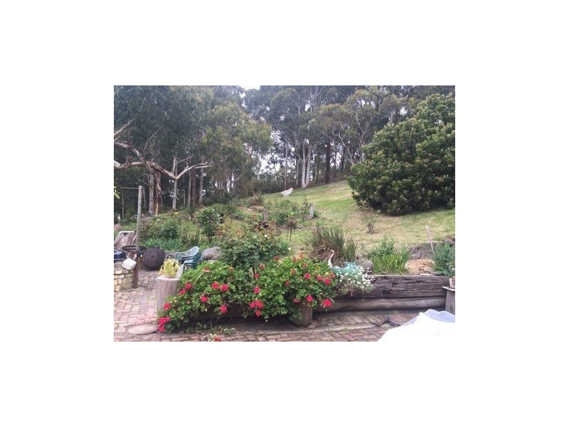 75 Alice Court, Marengo VIC 3233