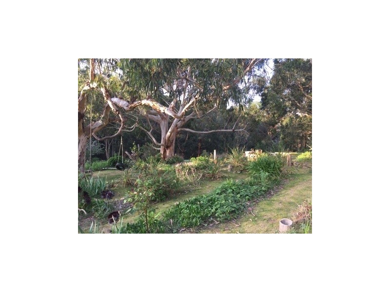 75 Alice Court, Marengo VIC 3233