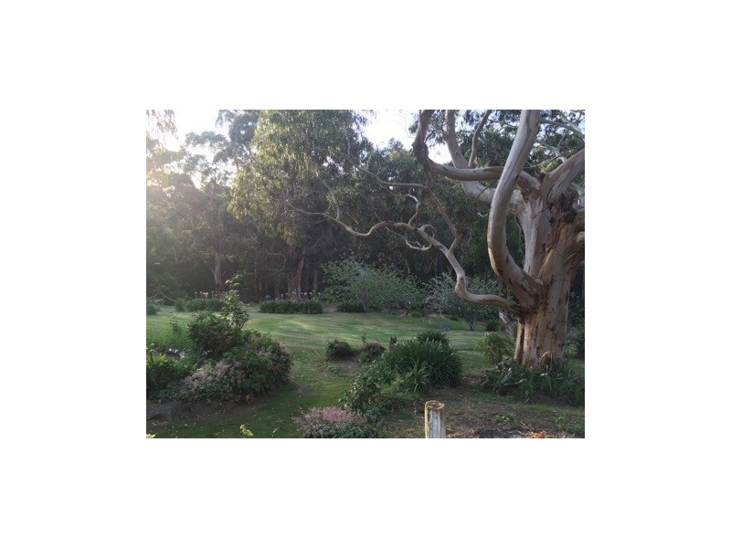 75 Alice Court, Marengo VIC 3233