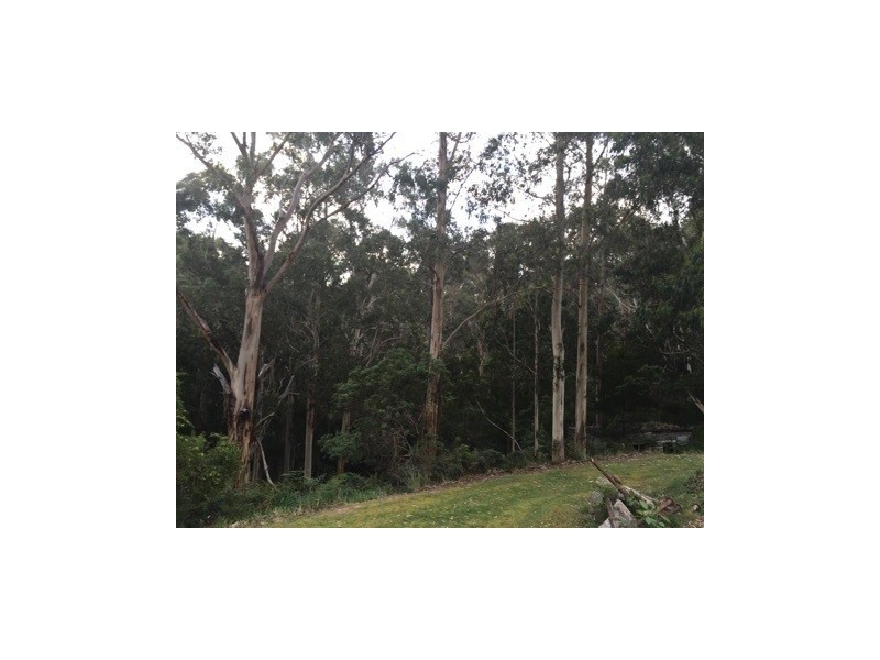 75 Alice Court, Marengo VIC 3233