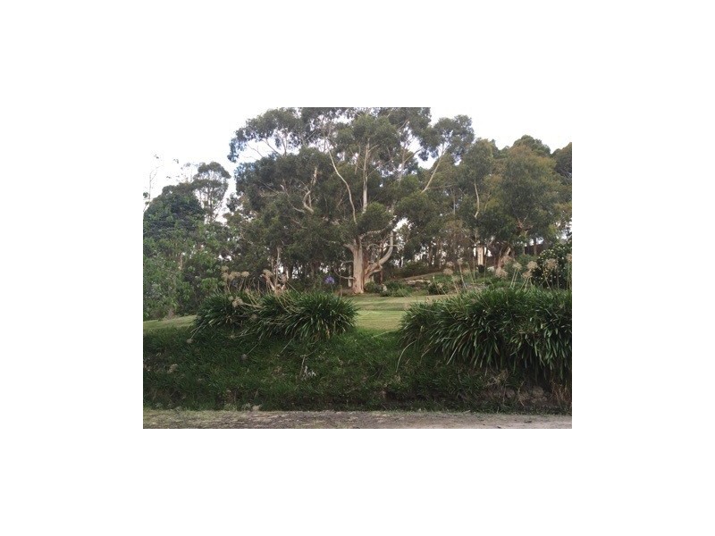 75 Alice Court, Marengo VIC 3233