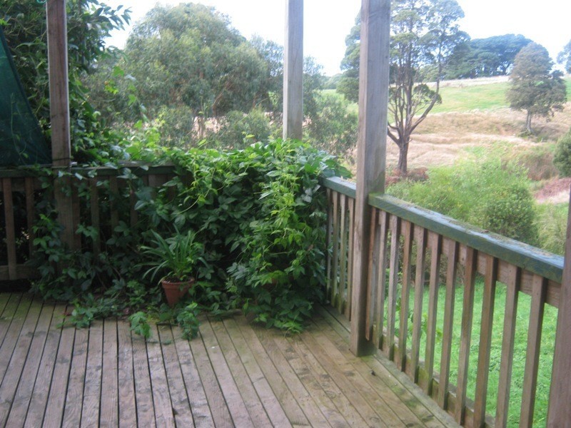 50 Great Ocean Road, Lavers Hill VIC 3238