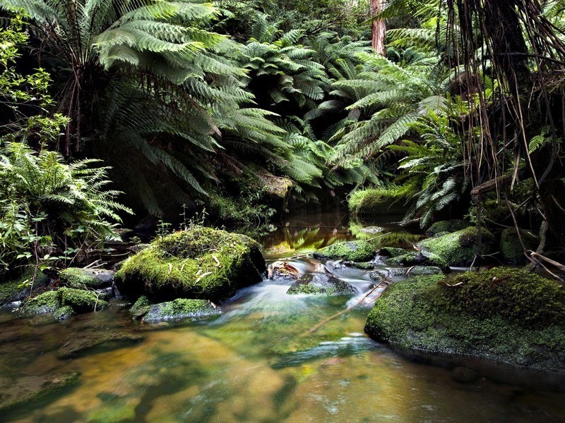 385 Aire Settlement Road, Johanna VIC 3238