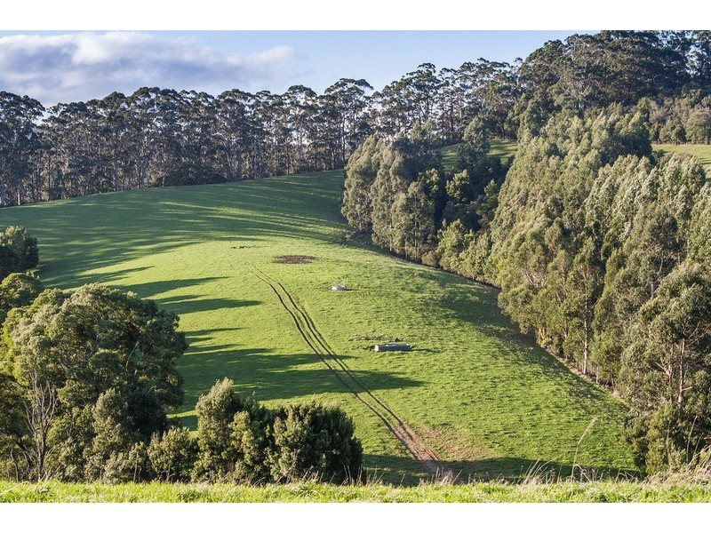 385 Aire Settlement Road, Johanna VIC 3238