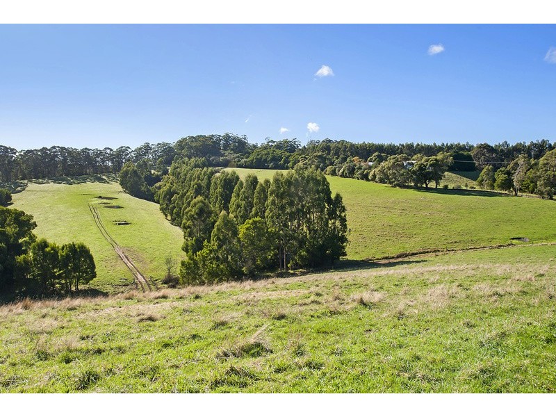 385 Aire Settlement Road, Johanna VIC 3238