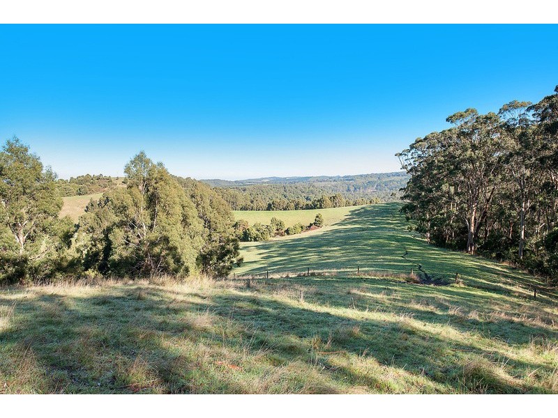 385 Aire Settlement Road, Johanna VIC 3238
