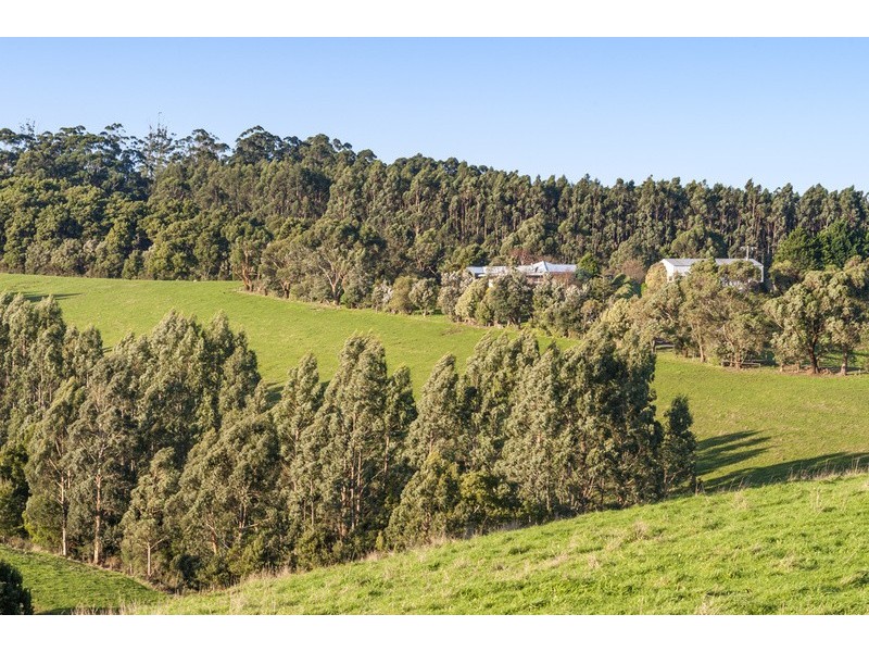 385 Aire Settlement Road, Johanna VIC 3238