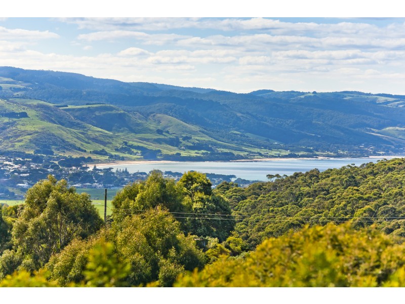 35 Alice Court, Marengo VIC 3233