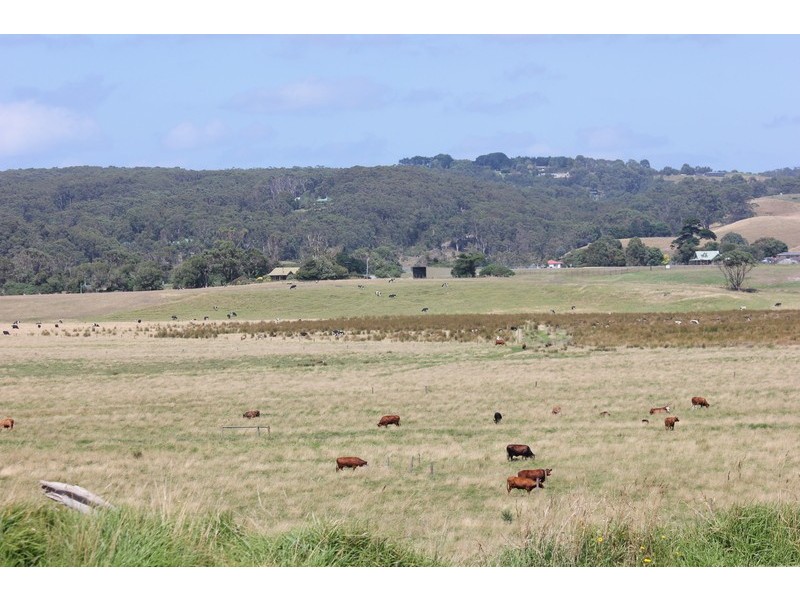 4 Seymour Crescent, Apollo Bay VIC 3233