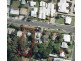 5-7 Pengilley Avenue, Apollo Bay VIC 3233