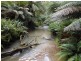 870 Forrest Apollo Bay Road, Barramunga VIC 3249
