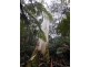 870 Forrest Apollo Bay Road, Barramunga VIC 3249