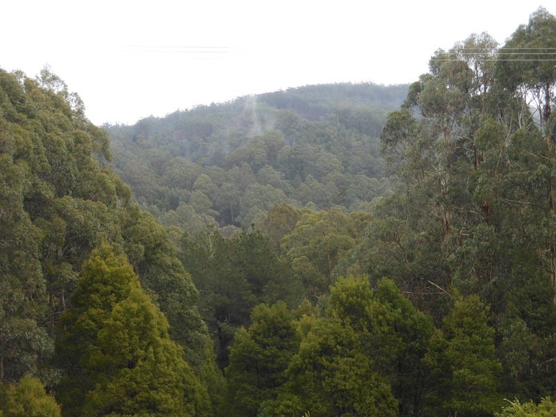 870 Forrest Apollo Bay Road, Barramunga VIC 3249