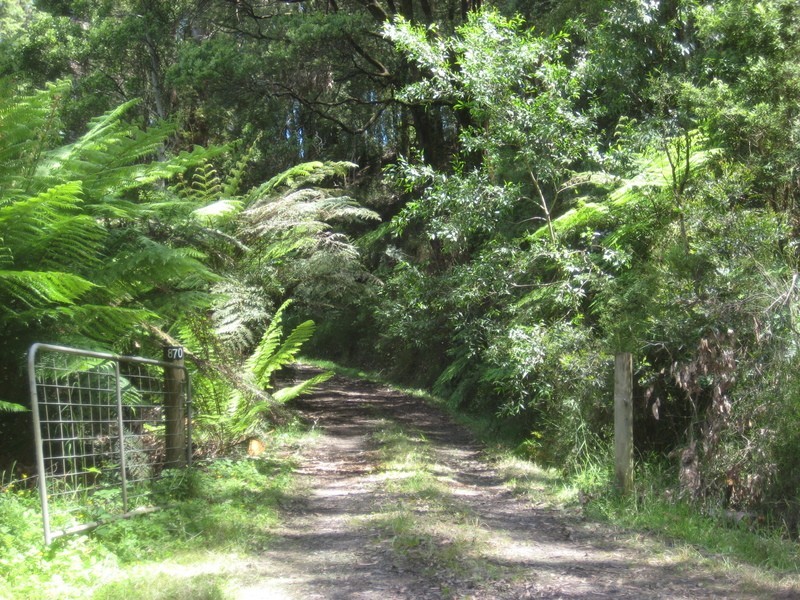 870 Forrest Apollo Bay Road, Barramunga VIC 3249