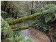 870 Forrest Apollo Bay Road, Barramunga VIC 3249