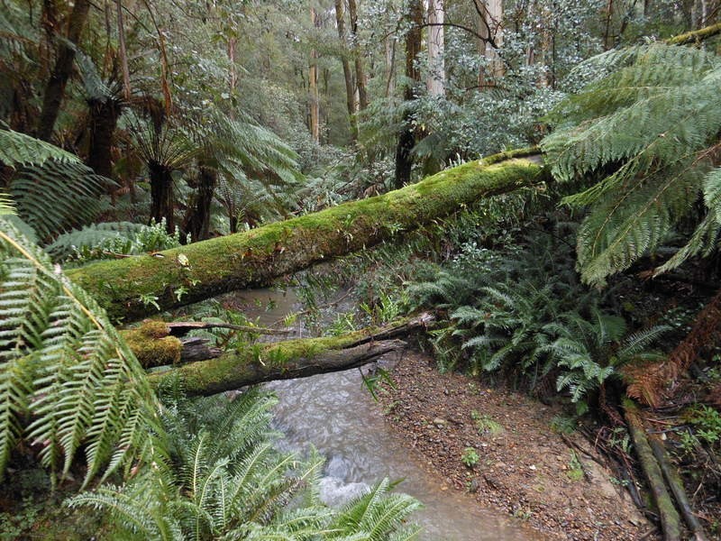 870 Forrest Apollo Bay Road, Barramunga VIC 3249