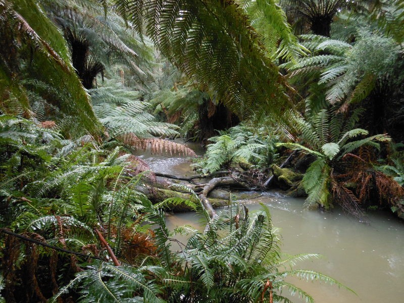 870 Forrest Apollo Bay Road, Barramunga VIC 3249