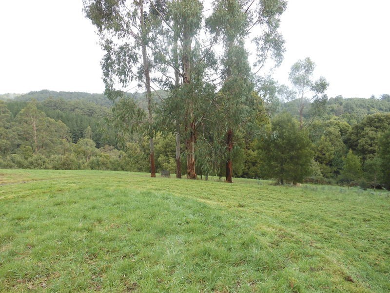 870 Forrest Apollo Bay Road, Barramunga VIC 3249