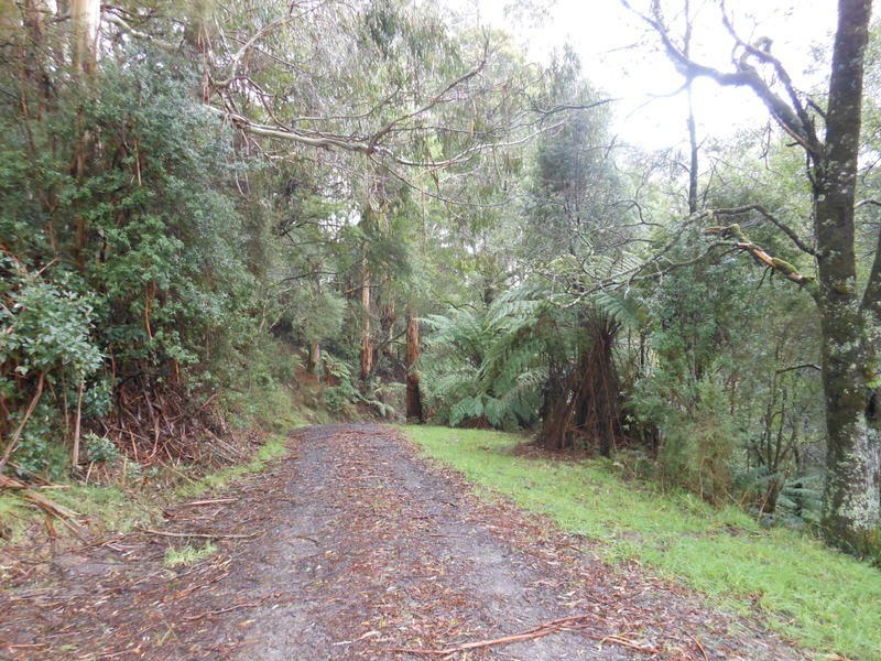 870 Forrest Apollo Bay Road, Barramunga VIC 3249