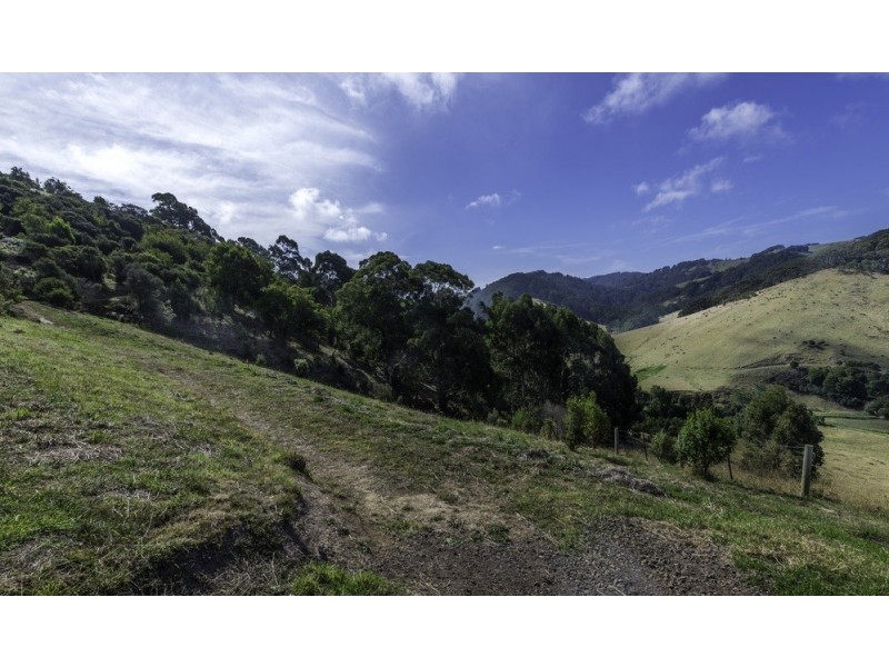 60 Tiger Lane, Skenes Creek VIC 3233