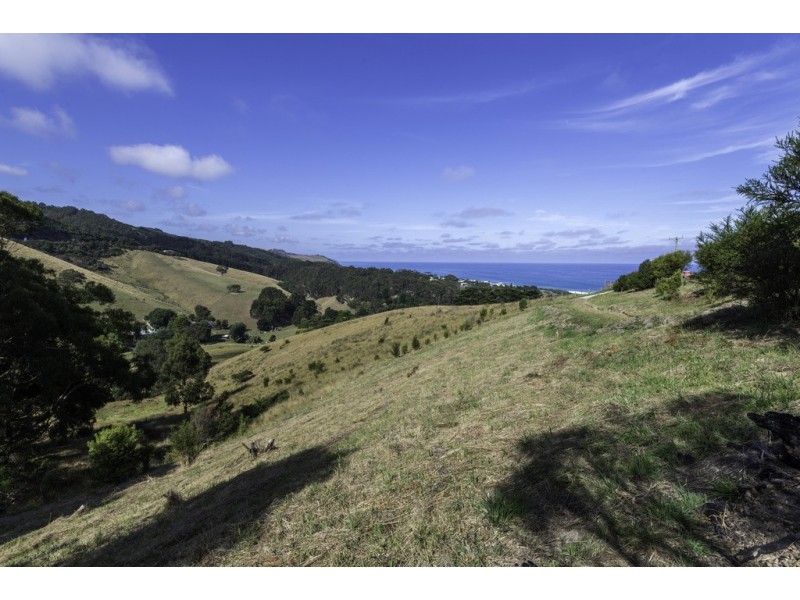 60 Tiger Lane, Skenes Creek VIC 3233