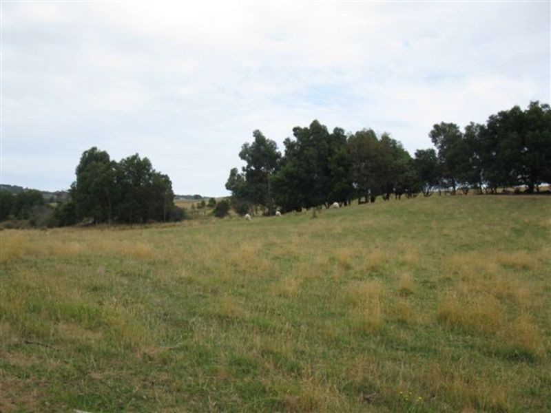 120 Montrose Avenue, Apollo Bay VIC 3233