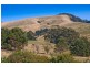 120 Montrose Avenue, Apollo Bay VIC 3233