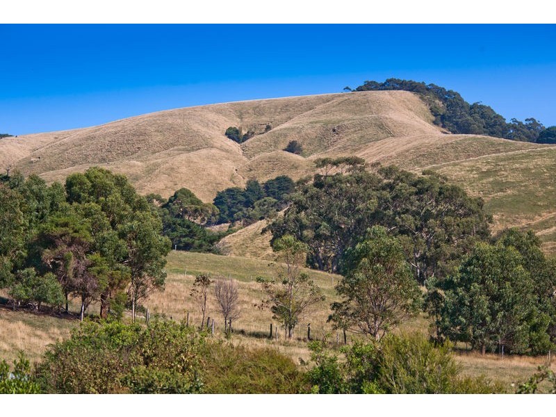 120 Montrose Avenue, Apollo Bay VIC 3233