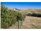 120 Montrose Avenue, Apollo Bay VIC 3233
