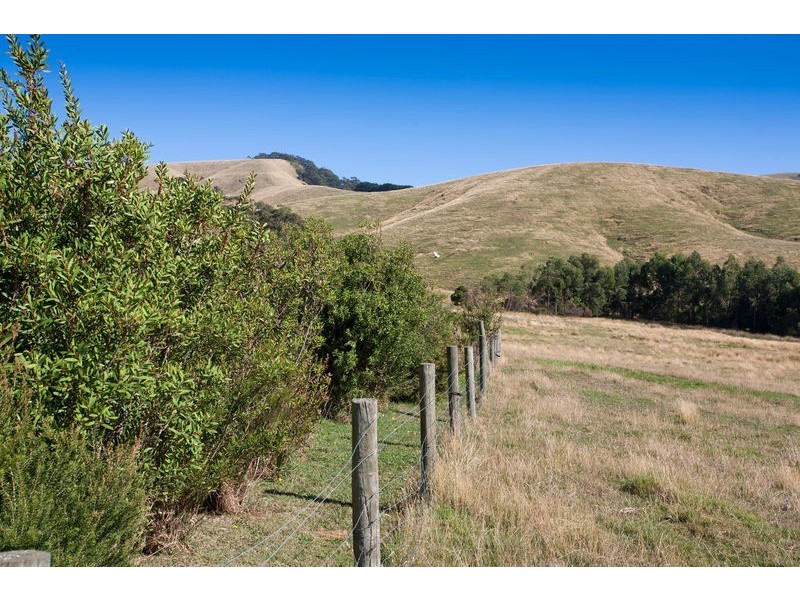 120 Montrose Avenue, Apollo Bay VIC 3233