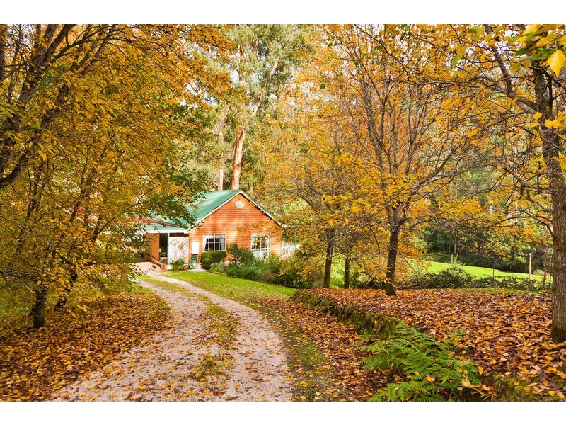 1135 Barham River Road, Apollo Bay VIC 3233