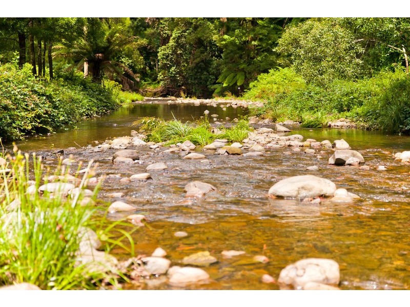 1135 Barham River Road, Apollo Bay VIC 3233