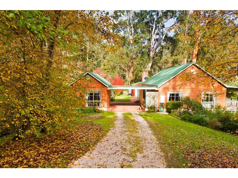 1135 Barham River Road, Apollo Bay VIC 3233