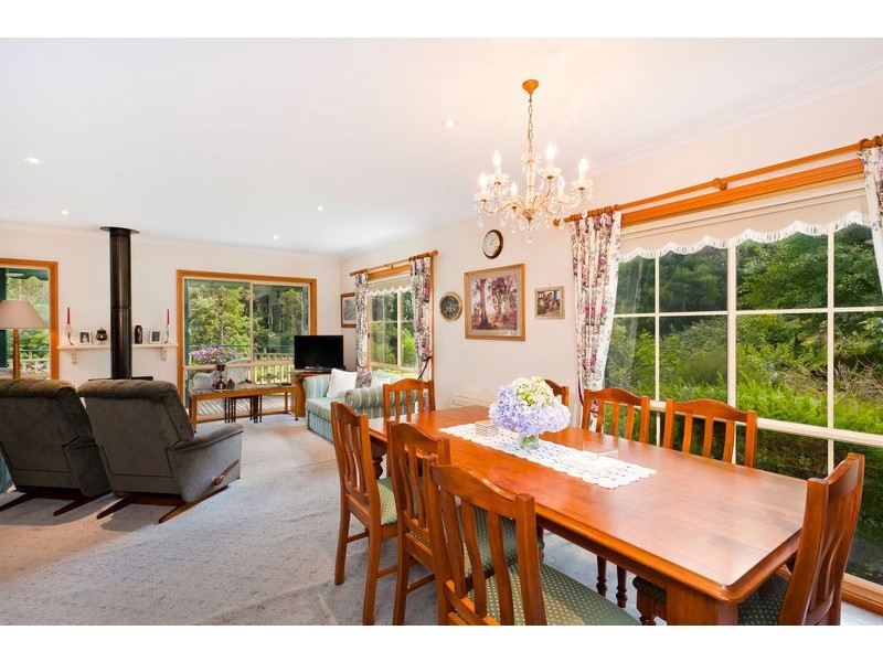 1135 Barham River Road, Apollo Bay VIC 3233