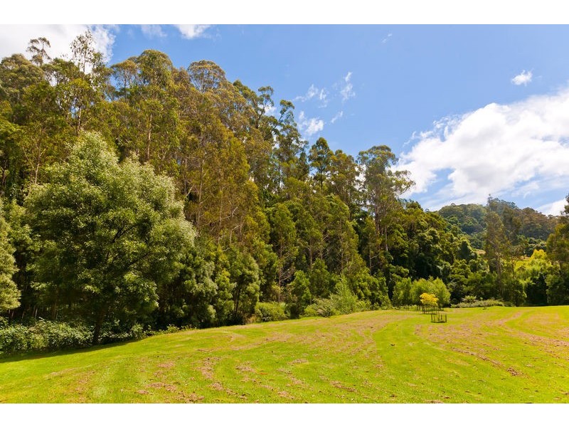 1135 Barham River Road, Apollo Bay VIC 3233