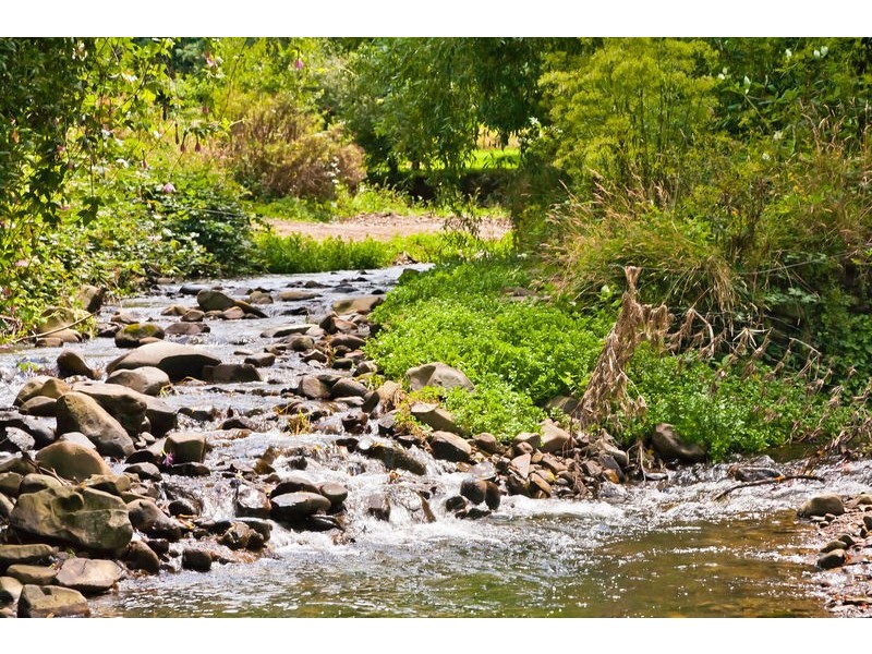 1135 Barham River Road, Apollo Bay VIC 3233