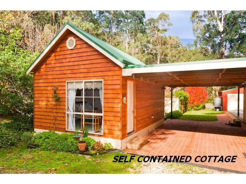 1135 Barham River Road, Apollo Bay VIC 3233