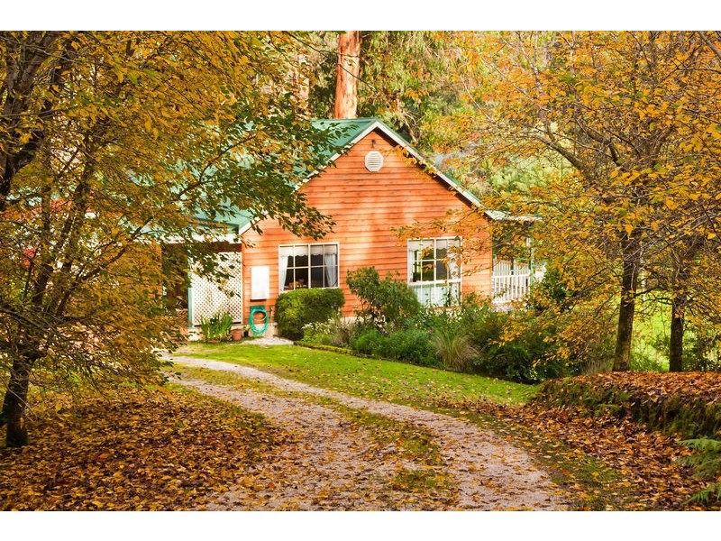 1135 Barham River Road, Apollo Bay VIC 3233