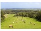 50 Parkers Access Road, Apollo Bay VIC 3233