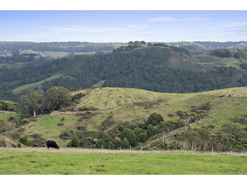 415 Tuxion Road, Apollo Bay VIC 3233