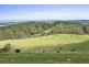 415 Tuxion Road, Apollo Bay VIC 3233