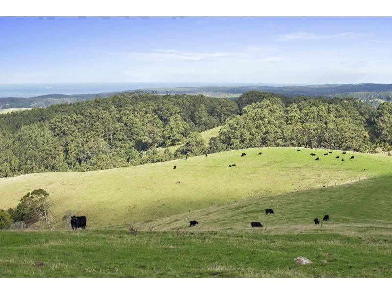 415 Tuxion Road, Apollo Bay VIC 3233
