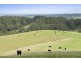 415 Tuxion Road, Apollo Bay VIC 3233